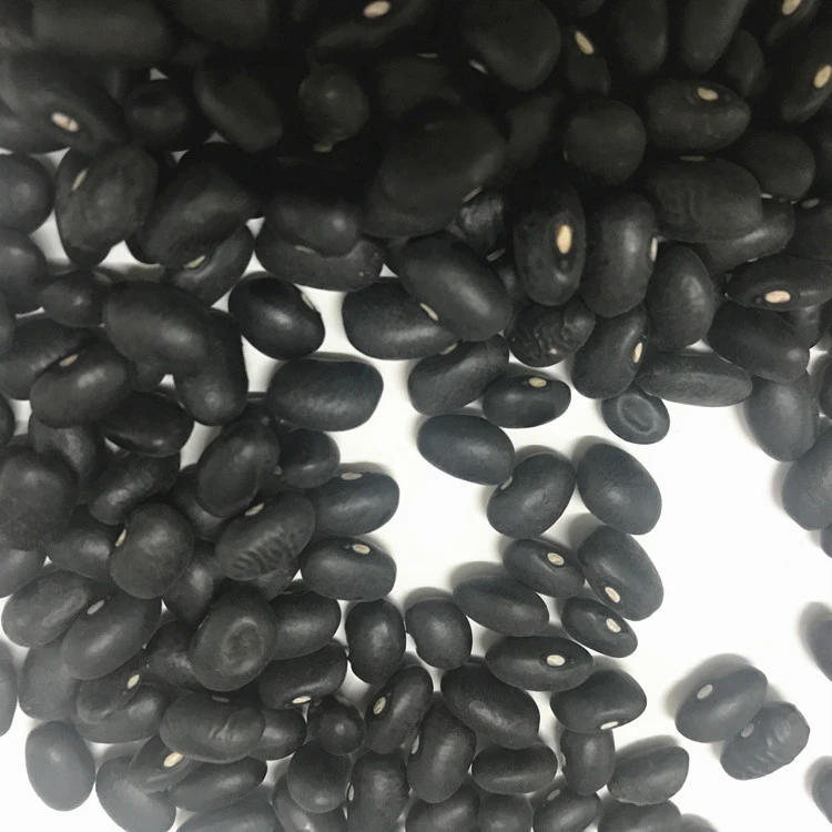 
Chinese organic black kidney bean black bean price 