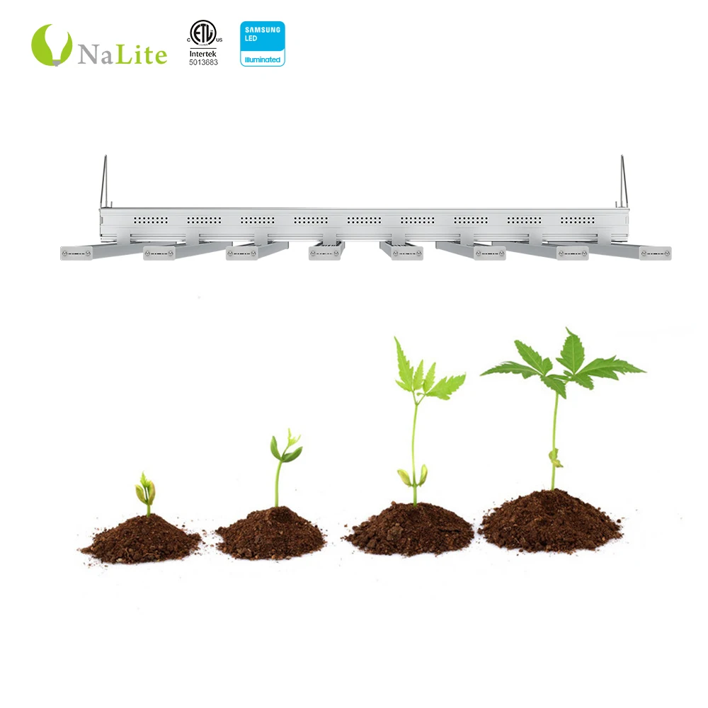 indoor wholesaler 1000w full spectrum lamp cob led grow lighting grow lights for sale