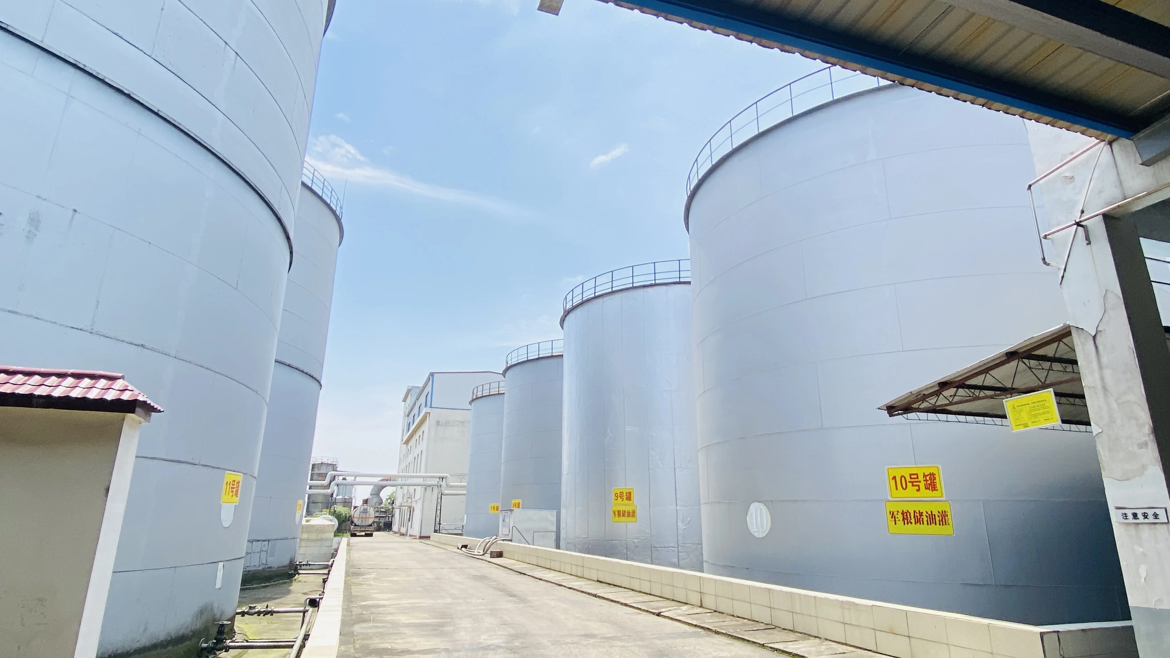 900mL Halal Cooking Refined Chinese Canola Oil Natural High Quality Canola Seed Oil For Sale