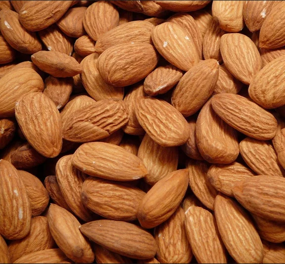 
Wholesale Almond Kernel / Raw Natural Almond Nuts/ for Sale 