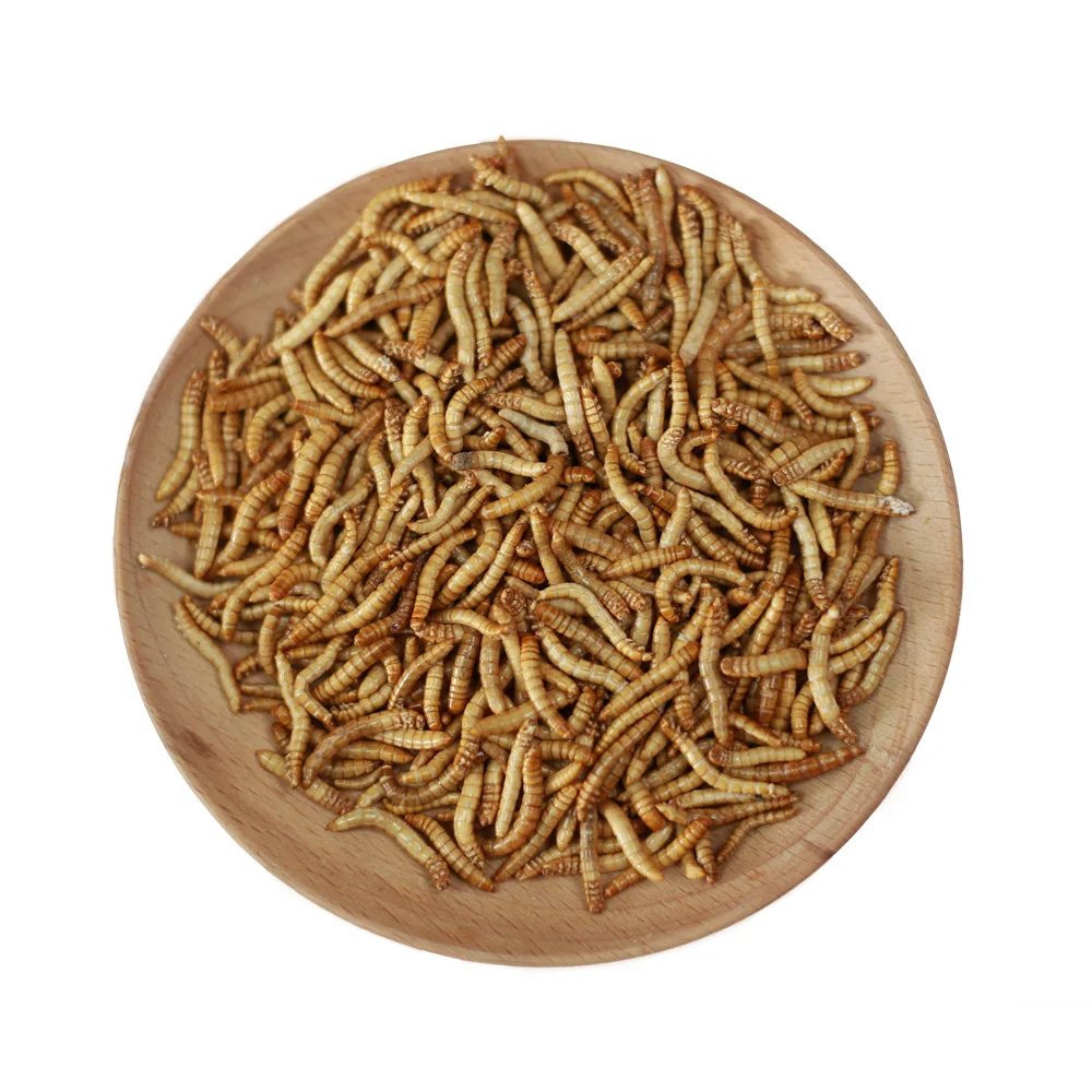 Натуральный МД Mealworm SD mealworm для куриных птиц и других маленьких домашних