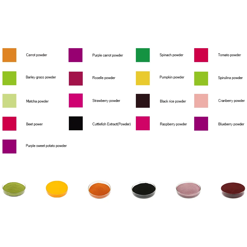 High quality various models  tomato concentrate powder for baked food