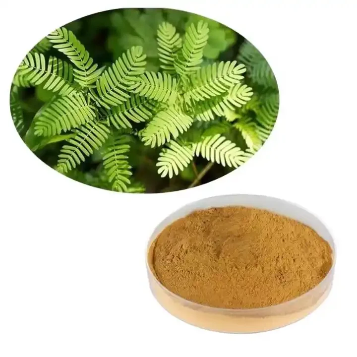 100% Pure Powder 10:1 Pudica Mimosa Root Bark Extract