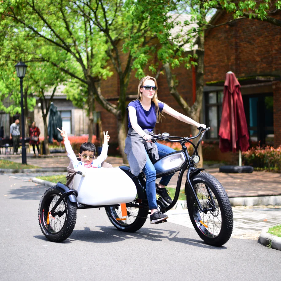 3 wheel Freight electric bike handsome detachable bracket to pick up children to school electric cargo energy-saving bicycle