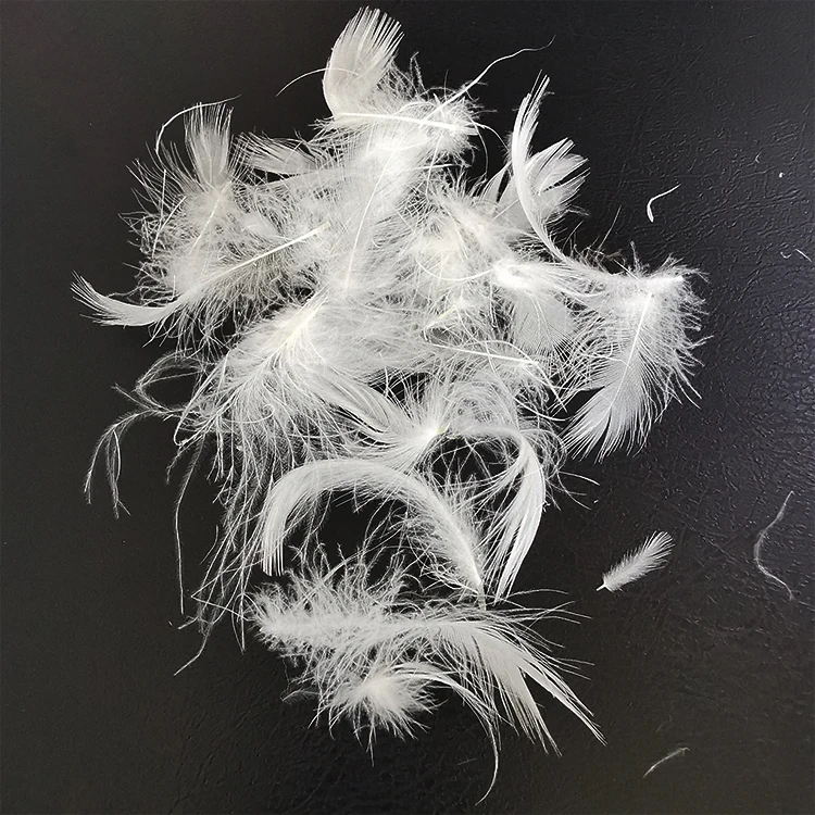 Bluk no smell duck feather Sofa cushion filling duck feathers 2-4CM