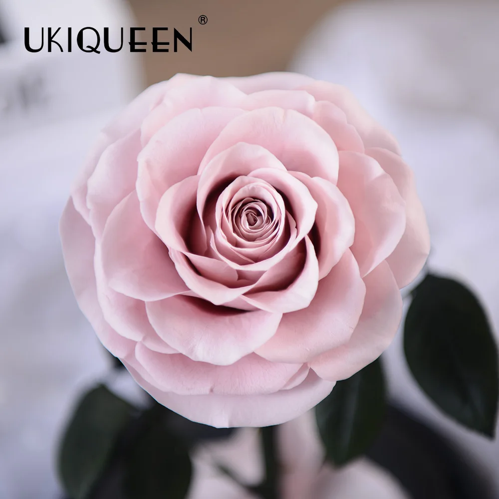 Завод UKIQUEEN оптовая продажа долговечный неувядающий цветок розы сохраненный в