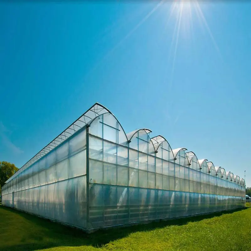 Agricultural Sawtooth Greenhouse with vertical hydroponic