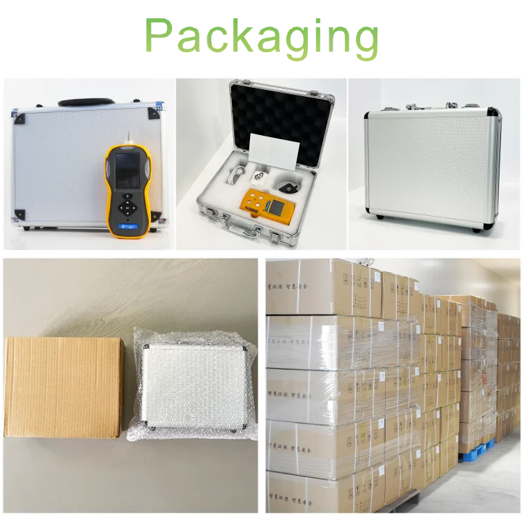 Safewill ES30A Gas detector CO EX O2 H2S CO2 Portable Multi Gas Detector Hydrogen Sulphide Gas Detector