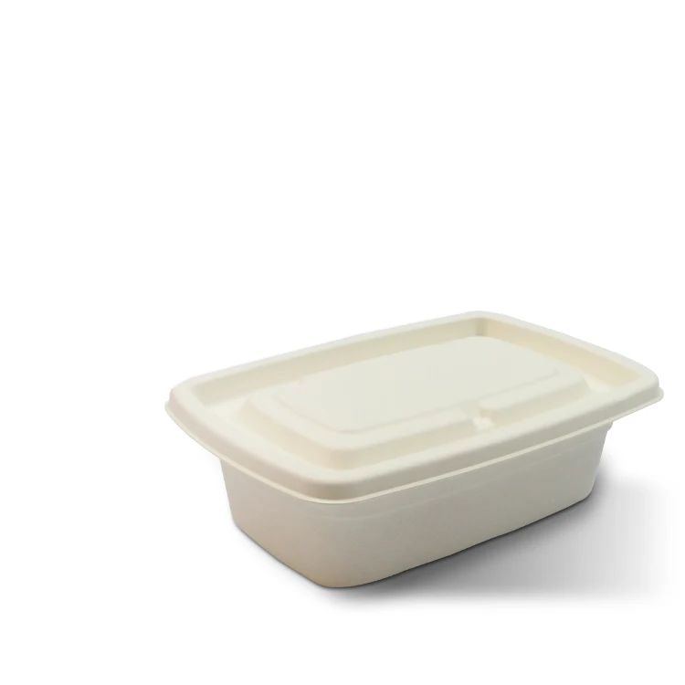 Замороженный отсек авиакомпании, сахарный тростник, багасса, Компостируемая доставка, жестяная пластиковая бумага, упаковка для хранения, одноразовая пищевая коробка