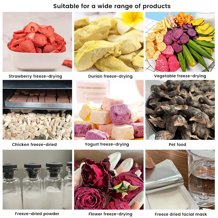 Large capacity industrial vacuum food freeze dryer for fruits vegetables