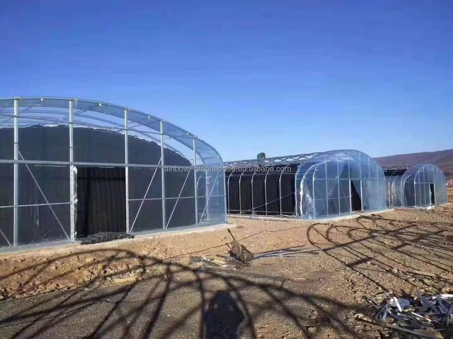 tunnel greenhouse.jpg