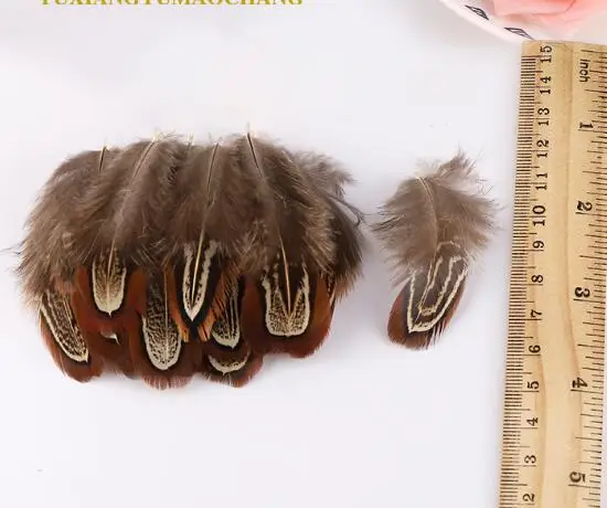 Натуральные перья фазана оптом неокрашенные нетоксичные сертифицированные 5-8 см 500 шт. в полиэтиленовом пакете