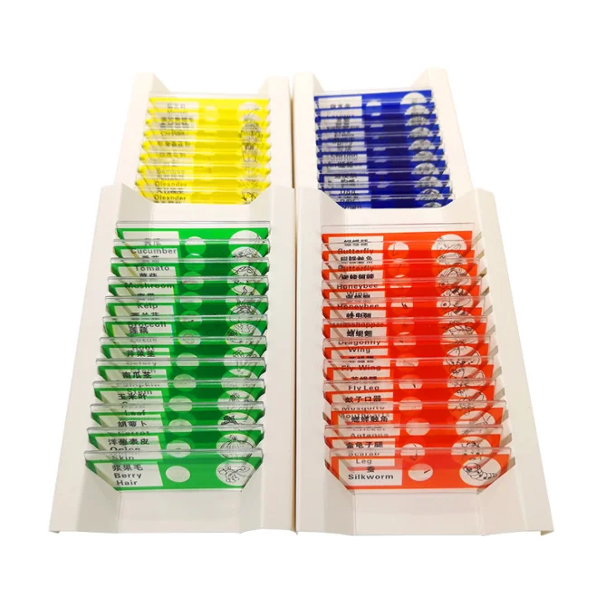 Plastic Prepared Microscope Slides for Kids 48pcs Animals Insects Plants Flowers Sample Microscope Slides with Specimens