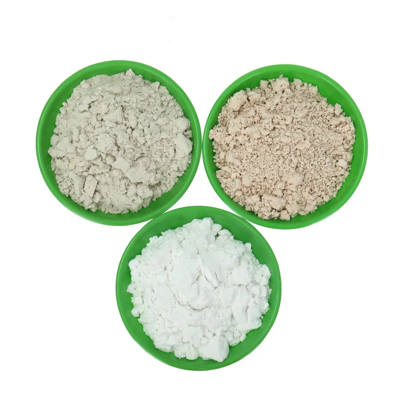 Wholesale Bigger Manufacture Cheaper Diatomite Price Diatomite Powder for Gardening