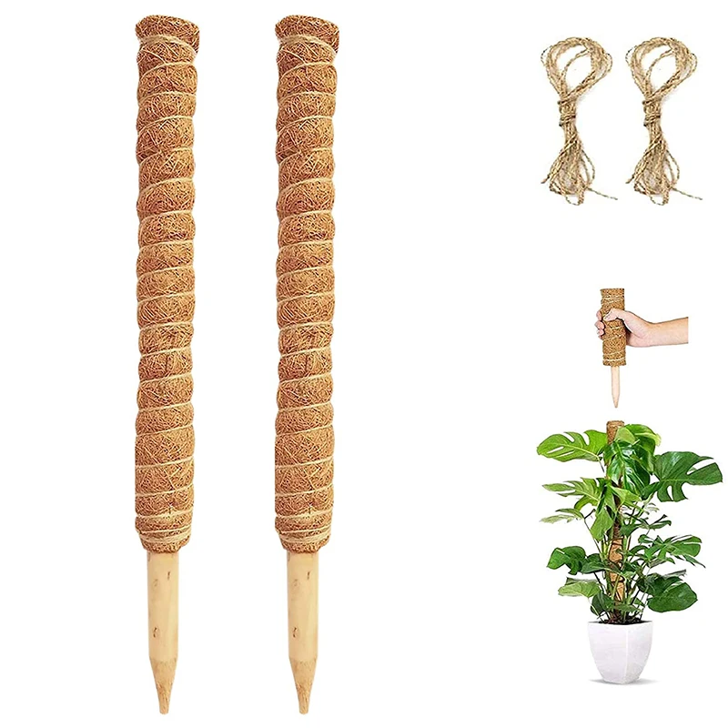 
30cm 12Inc Free Sample Plants Upwards Use In Stock Plant Support Sticks Totem Coco Coir Moss Poles Coconut Palm Stick For Grow 