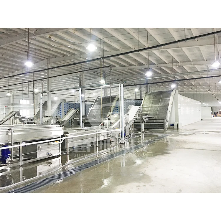 система ленточного транспорта большая модель производственной линии оборудование для сушки сушильная машина