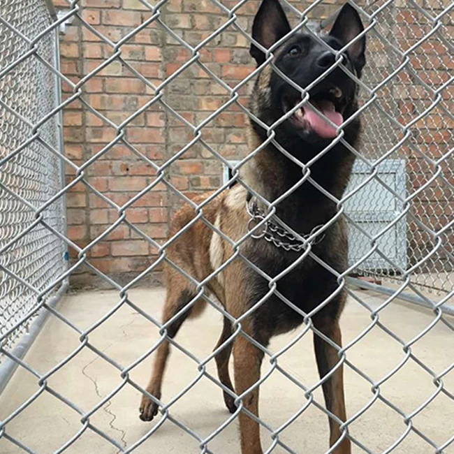 High Quality Good Price Galvanized Chain Link Fence Basketball Court Chain Link Fence