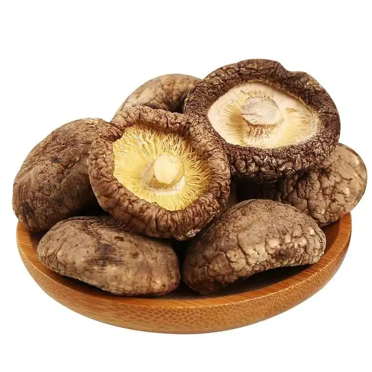 
whole sale shiitake mushrooms dried mushroom cheapest the least expensive 