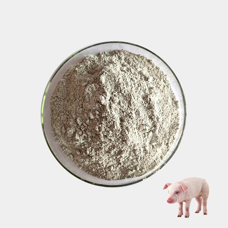 Hot Sale Feed Additive Toxin Binder for Pig