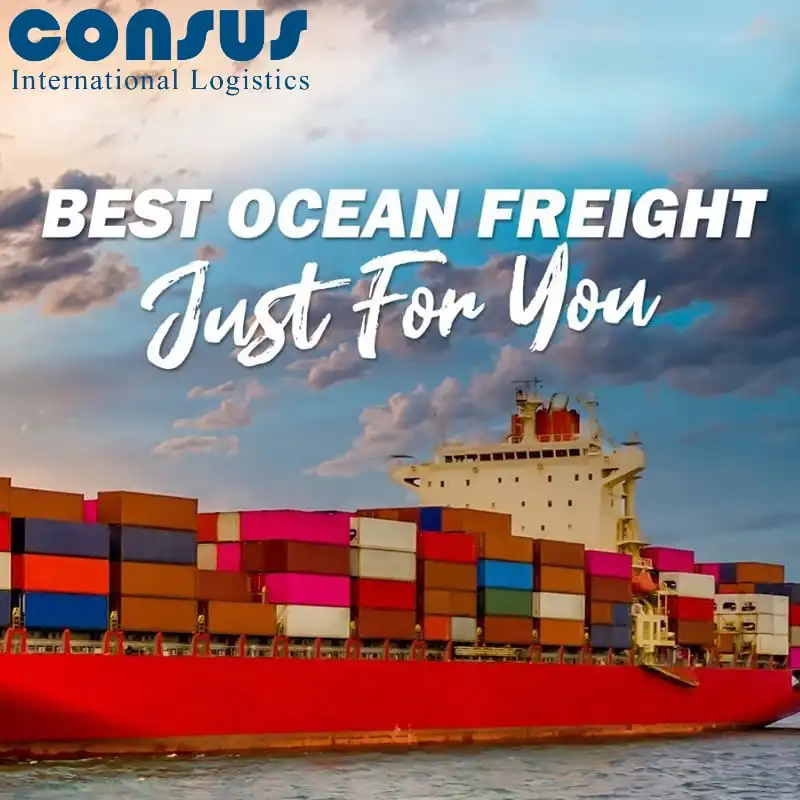 Fast FCL LCL Container Shipping Sea Freight Forwarder to Hamburg Germany