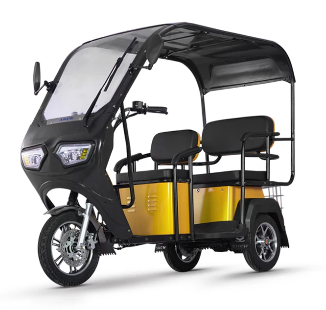 2024 New Electric Trike 650W Family Vintage Cargo Electric Tricycle 3 Wheel Electric Bike with roof