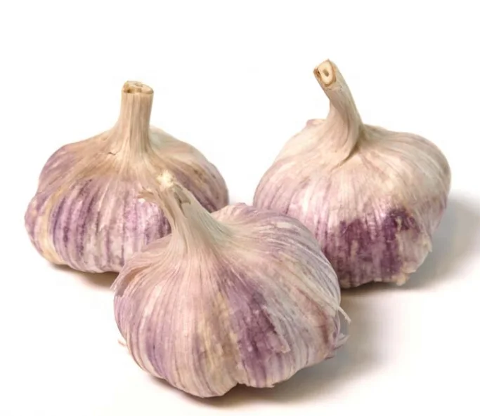 NAT Fresh Garlic Cheap Garlic Price
