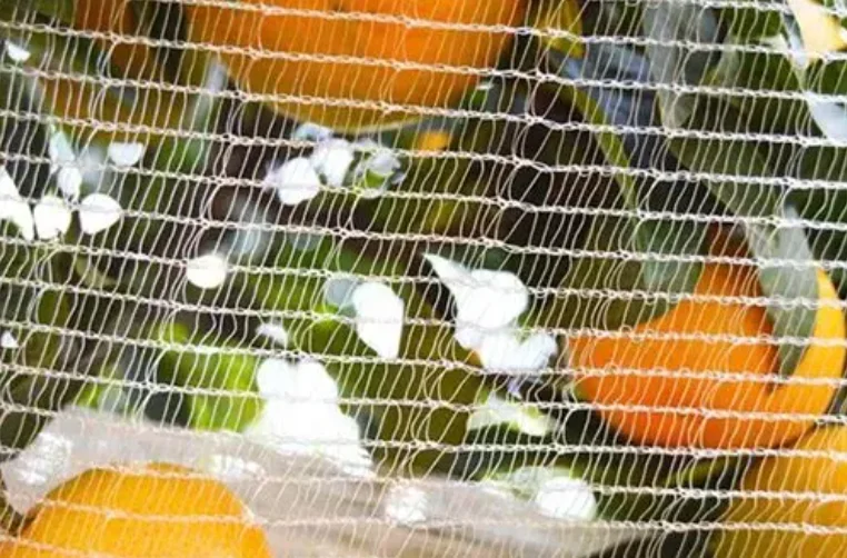 Agricultural Greenhouse Farm Protection Net, Anti Bee For Fruits, Trees
