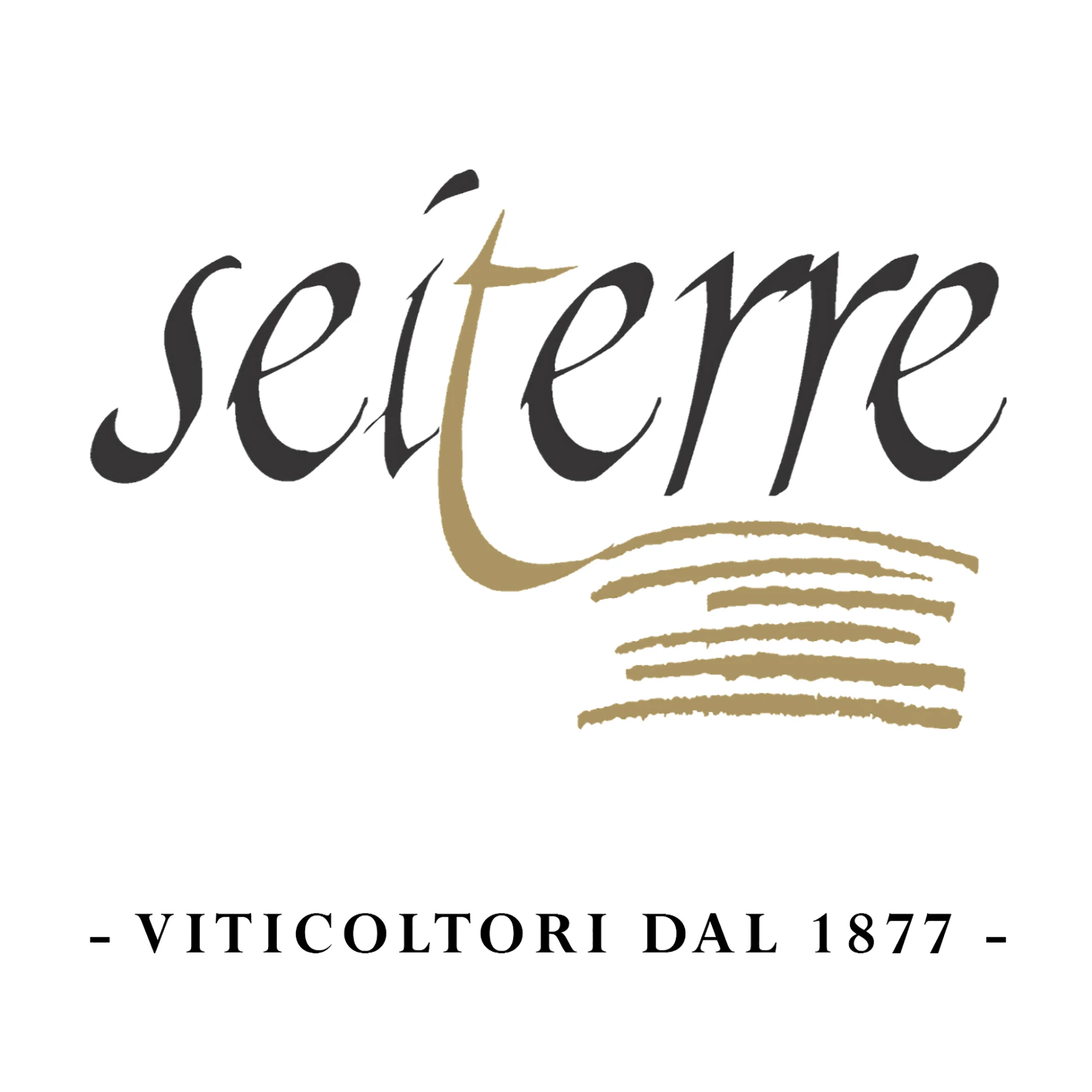 Italian supplier Fine Quality Chardonnay Trento DOC 750 ml Bottle Dry Sparkling White Wine For Export