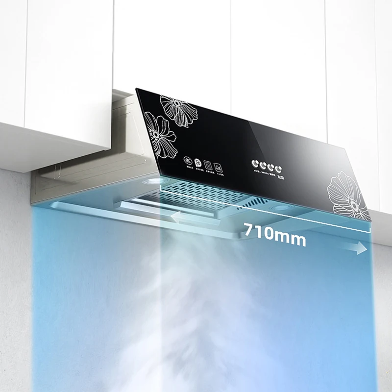 Factory Wholesale Small Mini 710mm Kitchen Exhaust Hood Exhaust Hood Kitchen Exhaust Hoods
