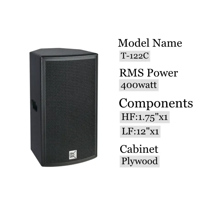 Guangzhou loudspeaker manufacturer active/passive auto audio