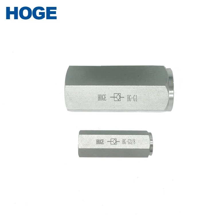 SS Heat Resistant Hydraulic High Pressure Ball Valve HG-G1/2 Check Valve 1/2 Inch In High Temperature