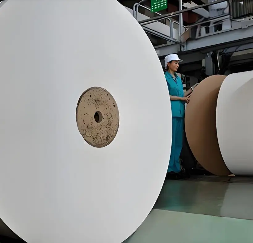 BNPackaging c1s  Clay coated Ivory paper roll PE/PLA coated paper roll eco-friendly