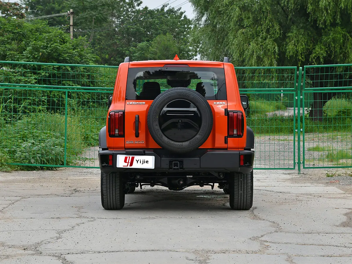 New Car Great Wall Tank 300 2024 Gasoline Cars 2.0T 4x4 Off-road SUV 48v Light Hybrid Car Automobile