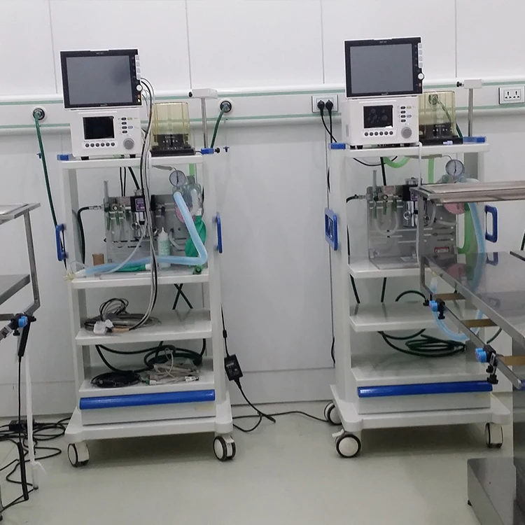 monitor veterinarian vet Veterinary medicine medivet pet hospital