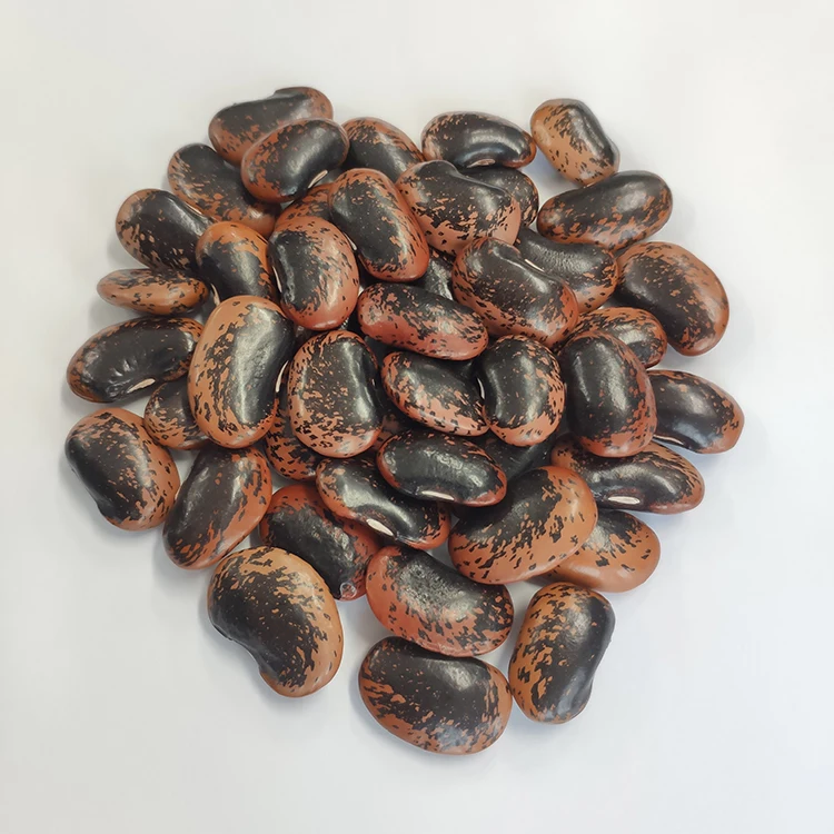 Scarlet runner bean kidney beans