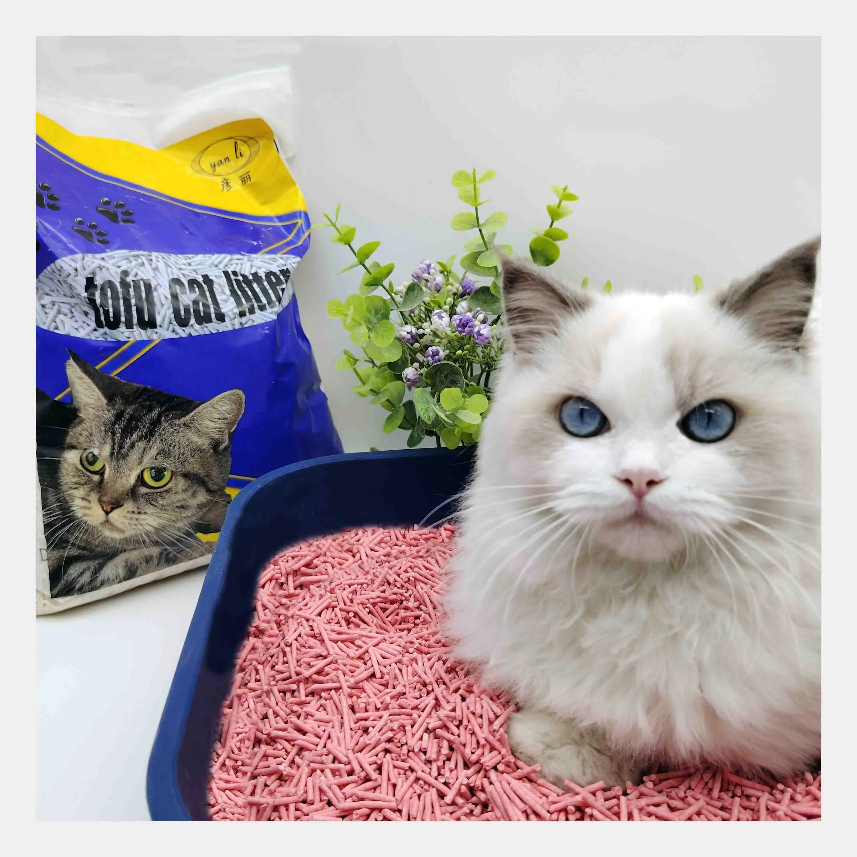Hot selling factory direct sales biodegradable dust-free agglomeration strong cat litter tofu cat litter