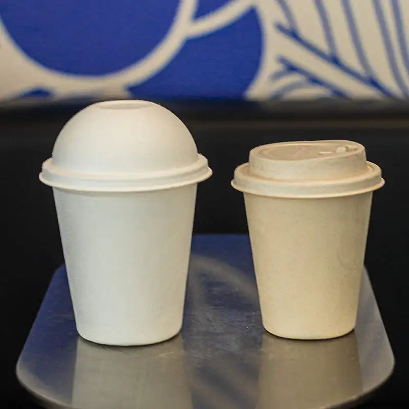 Eco Friendly 100% Biodegradable Compostable Bagasse Coffee Cup With Lid Sugarcane Bagasse Lid