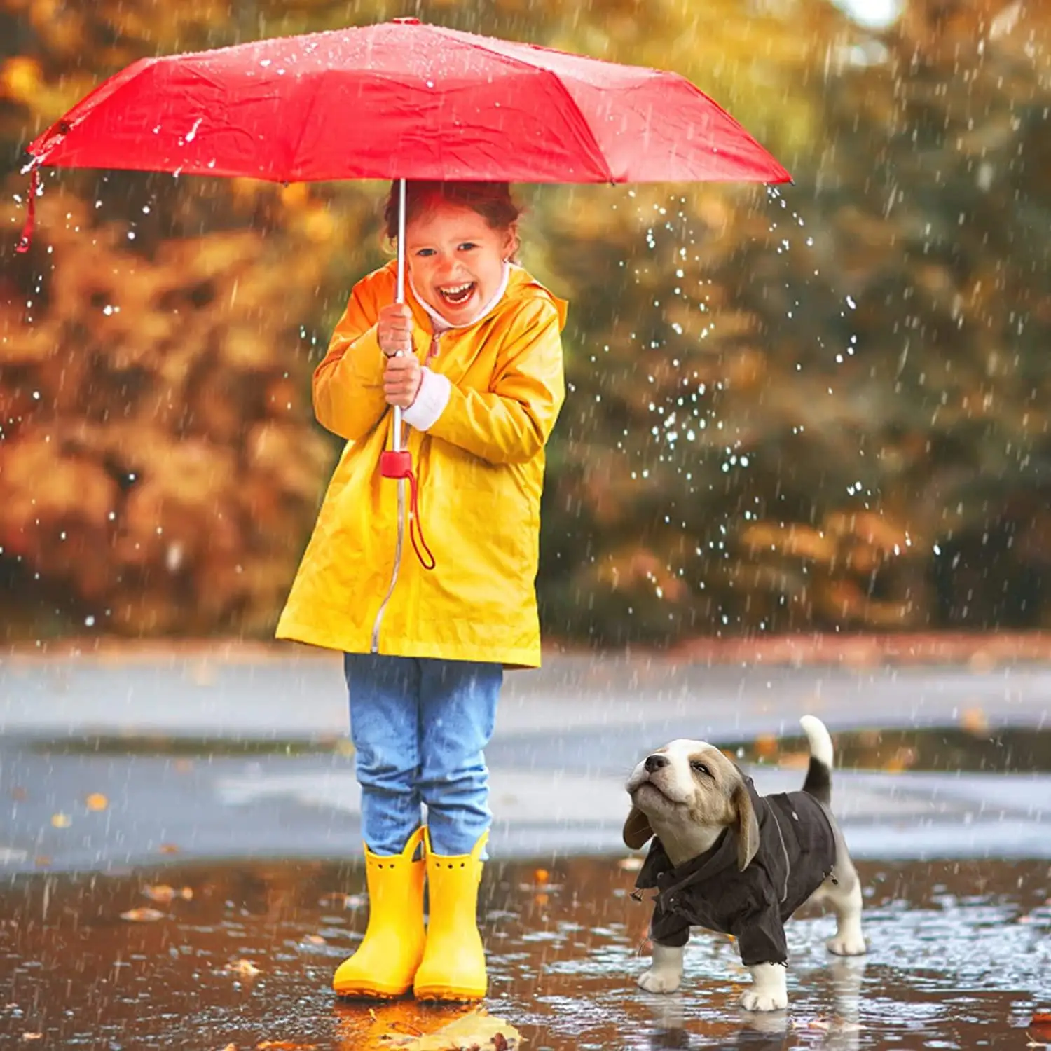 Dog Rain Coat, Pet Lightweight Waterproof  Jacket with Transparent, Reflective    Slicker coat with Leash Hole