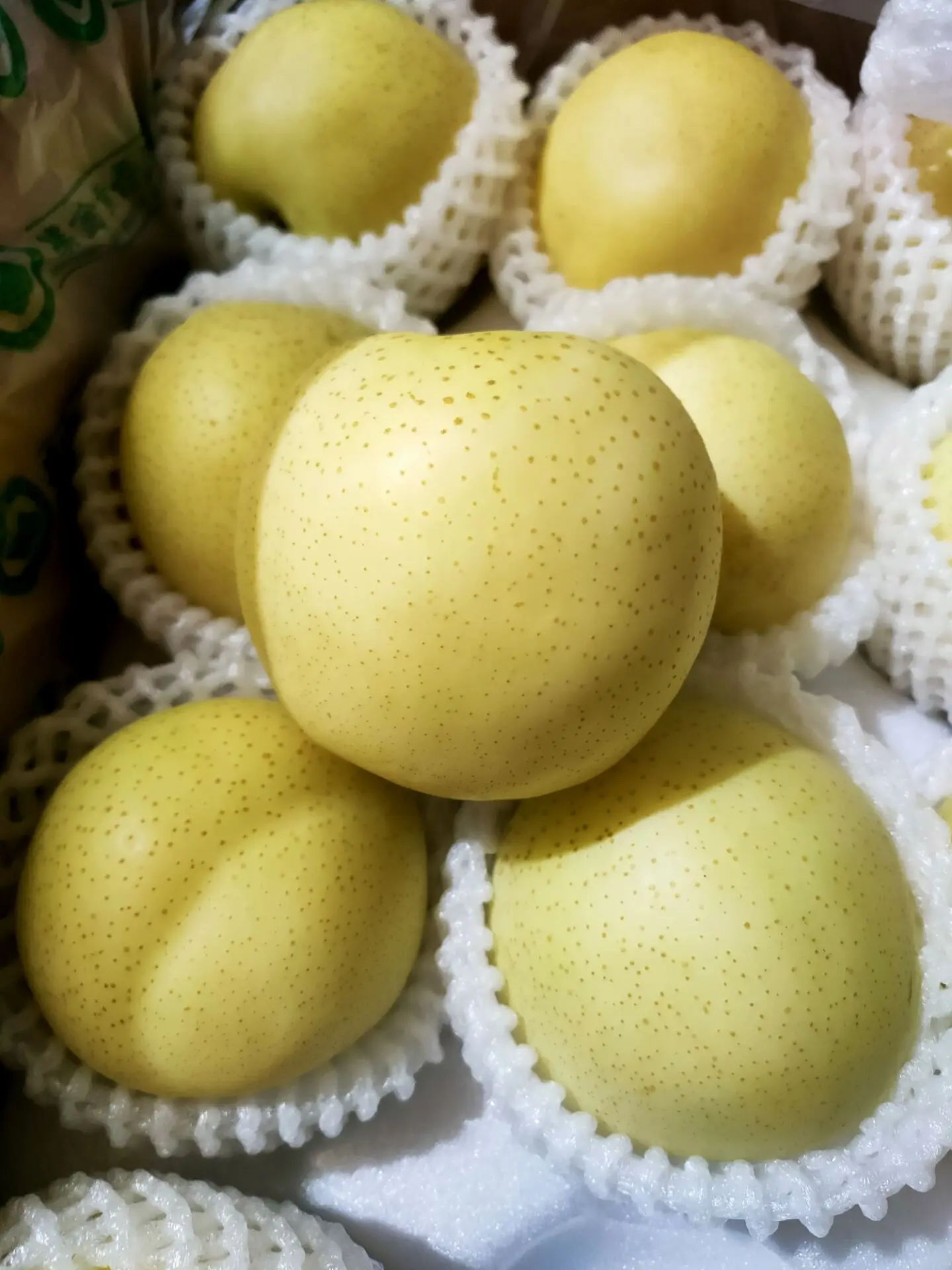 Новый урожай свежих китайских фруктов Золотая груша