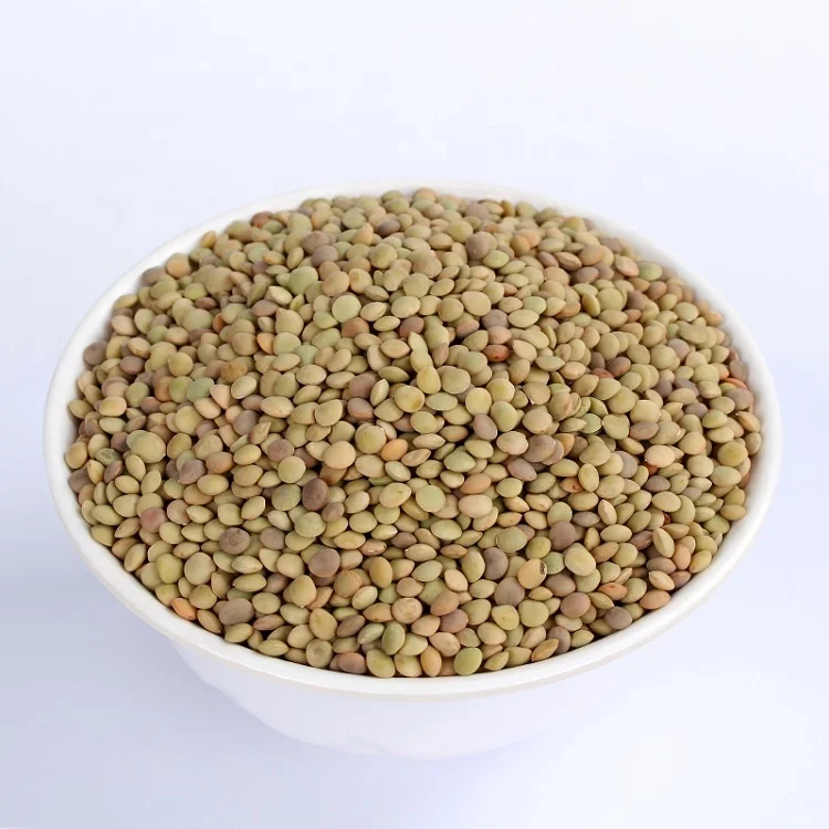 New crop  high quality of Chinese Dried Green Lentils