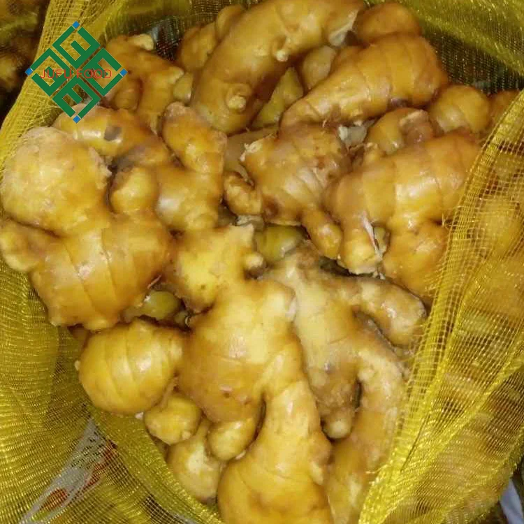 China Mature Fresh ginger air dry dried ginger root market price for 10kg ginger pvc box export suppliers buyer from China