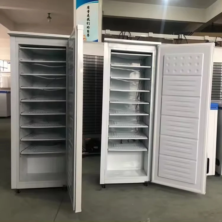 DC 24V 198L 11 layers stainless steel color Fast Cold ICE Water Upright solar Freezer With Solar System solar panel batteries