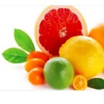 Aromaland Premium Citrus Essential Oil Blend 480 Ml - Therapeutic Grade Oil For Body Care From Plant-Based Ingredients USA Based