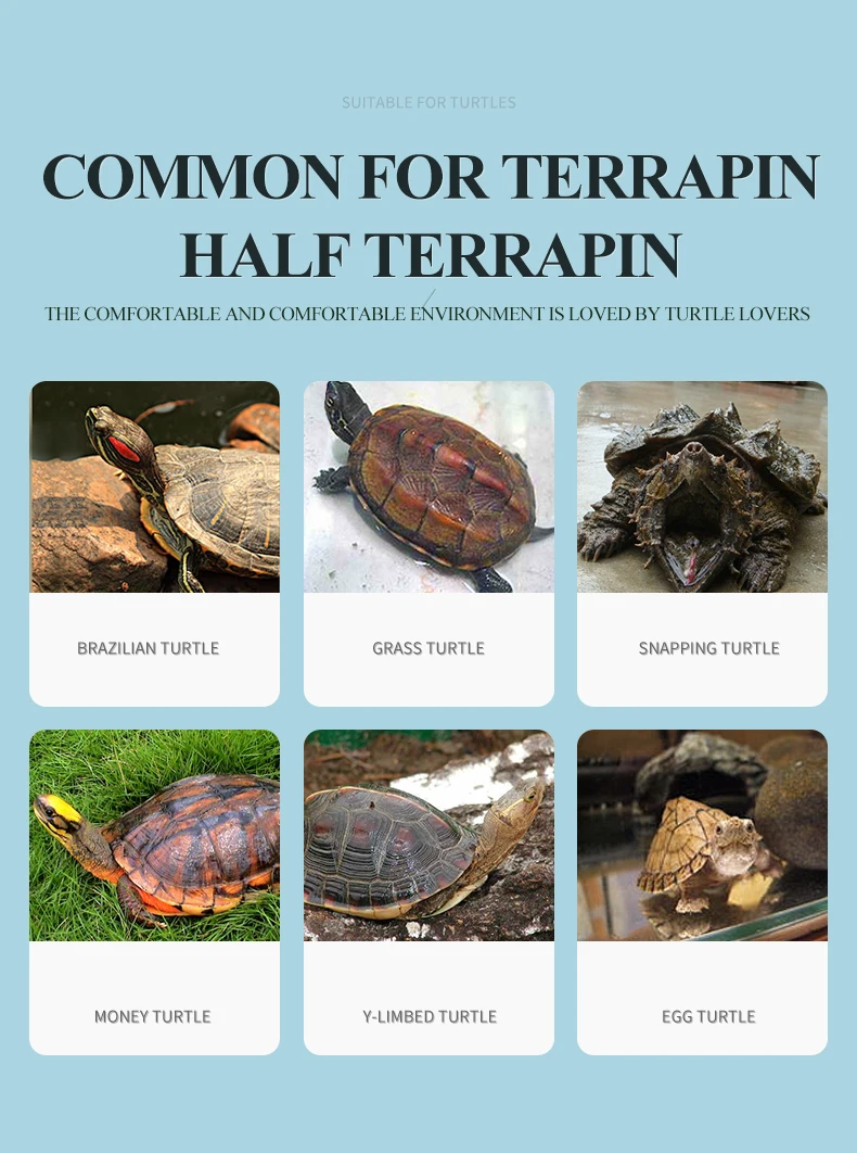 Yee Wholesale Big White Amphibious Reptiles Turtle Tank Cases 7