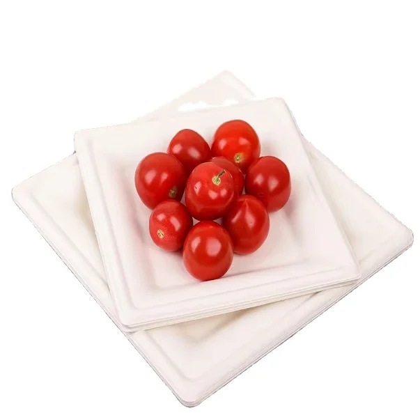 Biodegradable Disposable Sugarcane Bagasse Pulp microwavable Plate Party Plate