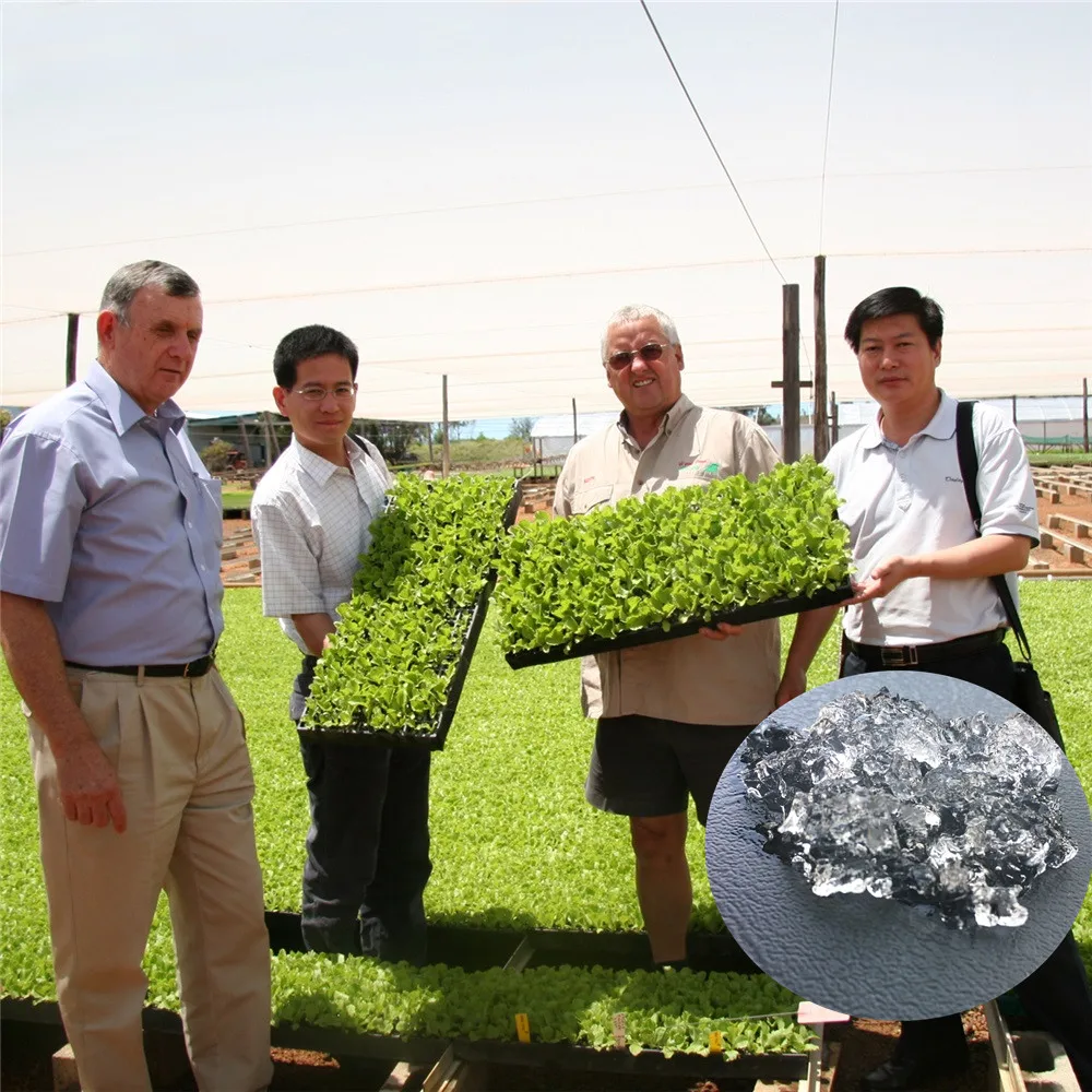 Water-Retaining Agent SAP/Water Absorbent GEL Potassium Polyacrylate KPAM for Agriculture/Forestry