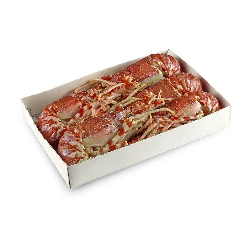 High quality frozen food labels wholesale fresh lobster seafood importers from deep Mozambique waters