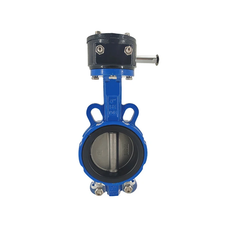 Reasonable Design Nodular Flange Simple Stainless Butterfly Valve Dn25MM