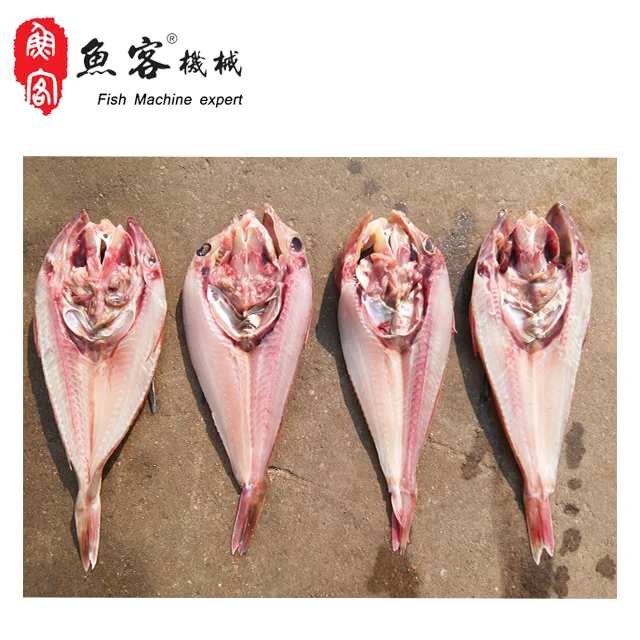 Hot Sale Factory Price Fish Processing Machine Fish Fillet Cutting  Machine fish cutter with CE