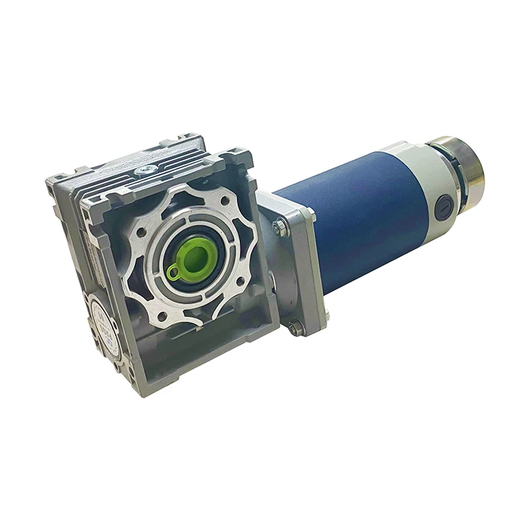 Manufacturer Well Made High Speed 3000rpm Worm Drive Dc Motor Dc Brush Worm Gear Motor